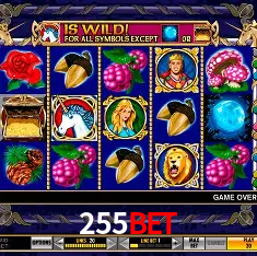 255Bet Login